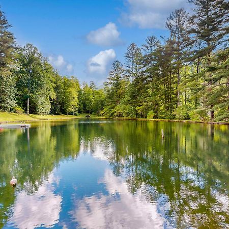 Bull Creek Peaceful Escape Βίλα Άσβιλ Εξωτερικό φωτογραφία