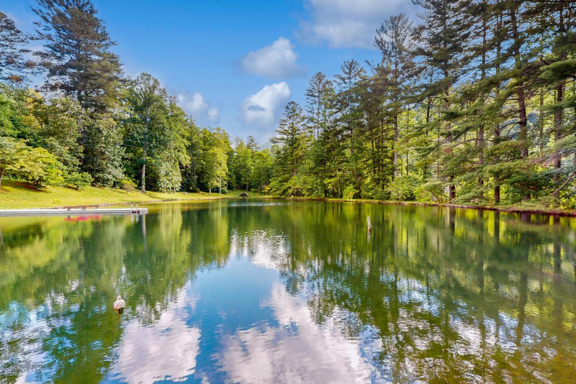 Bull Creek Peaceful Escape Βίλα Άσβιλ Εξωτερικό φωτογραφία